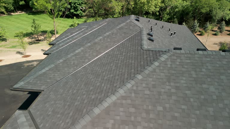 Best Skylight Installation and Repair  in Monee, IL