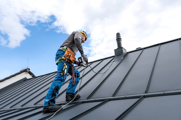 Best Roof Ventilation Installation  in Monee, IL